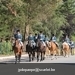 IMG_2709 (Small)