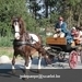 IMG_2714 (Small)