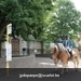 IMG_2731 (Small)