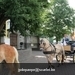 IMG_2732 (Small)