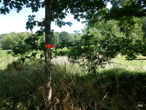13-DSCN4953