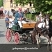 IMG_2902 (Small)