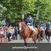 IMG_2910 (Small)