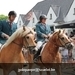 IMG_2914 (Small)
