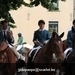 IMG_2916 (Small)