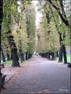 080921 151058 Lysenko Oekraïne