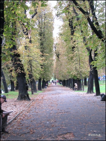 080921 151058 Lysenko Oekraïne
