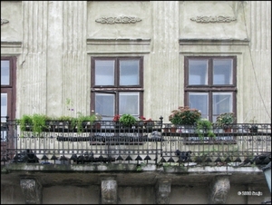080921 153734 Lysenko Oekraïne