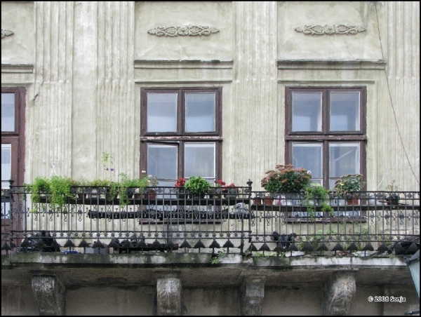 080921 153734 Lysenko Oekraïne