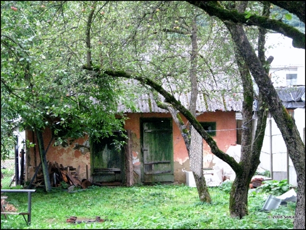 080922 163403 Lysenko Oekraïne