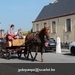 IMG_2429 (Small)