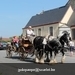 IMG_2441 (Small)