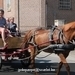 IMG_2450 (Small)