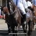 Herman De Croo (Small)