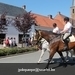IMG_2464 (Small)