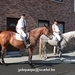 IMG_2477 (Small)