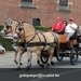 IMG_2557 (Small)