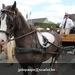 IMG_2570 (Small)