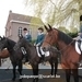 IMG_2572 (Small)