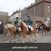 IMG_2505 (Small)