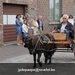 IMG_2512 (Small)