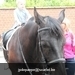 IMG_2526 (Small)