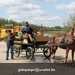 IMG_2142 (Small)