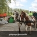 IMG_2144 (Small)