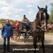 IMG_2155 (Small)