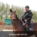 IMG_2164 (Small)