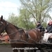 IMG_2167 (Small)