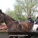 IMG_2168 (Small)