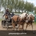 IMG_2170 (Small)