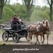 IMG_2171 (Small)