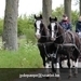 IMG_2176 (Small)