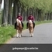 IMG_2185 (Small)