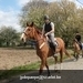 IMG_2197 (Small)