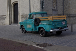 Geel (8)