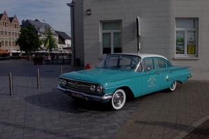 Geel (11)