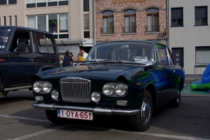 Geel (14)