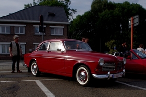 Geel (34)
