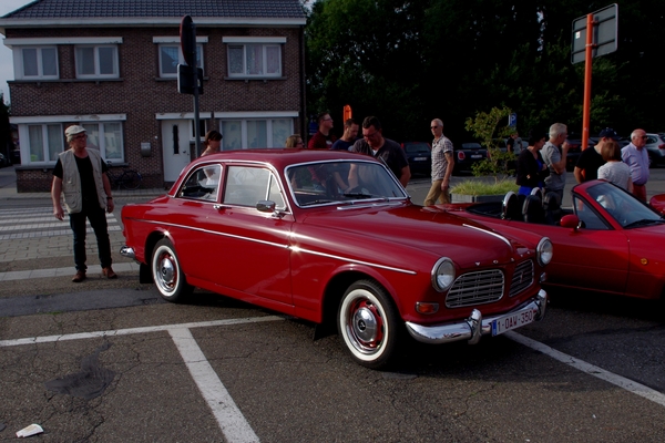 Geel (35)
