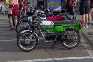 Geel (52)