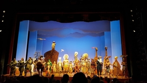the lion King