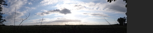 DSC00615