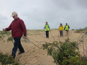 nordic walking