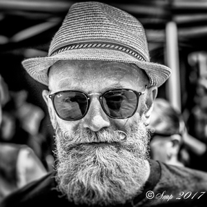 Harlydag 2017--28