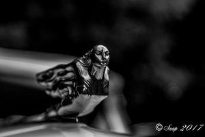 IMG_4959