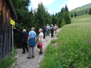 2 Hangebrucke Holzgau _DSC00095