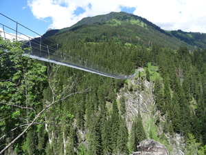 2 Hangebrucke Holzgau _DSC00103